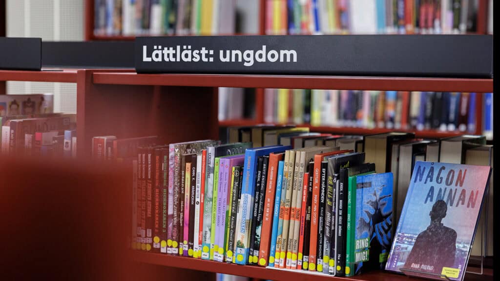 Skolbibliotek skolinspektionen