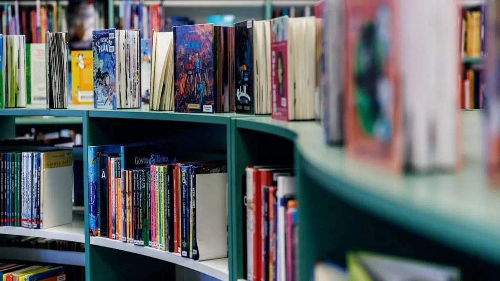 Skolbibliotek inspektion