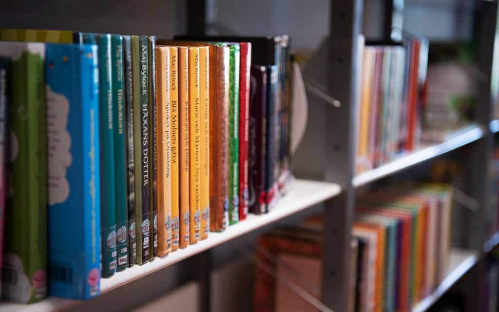 Skolbibliotek granskning