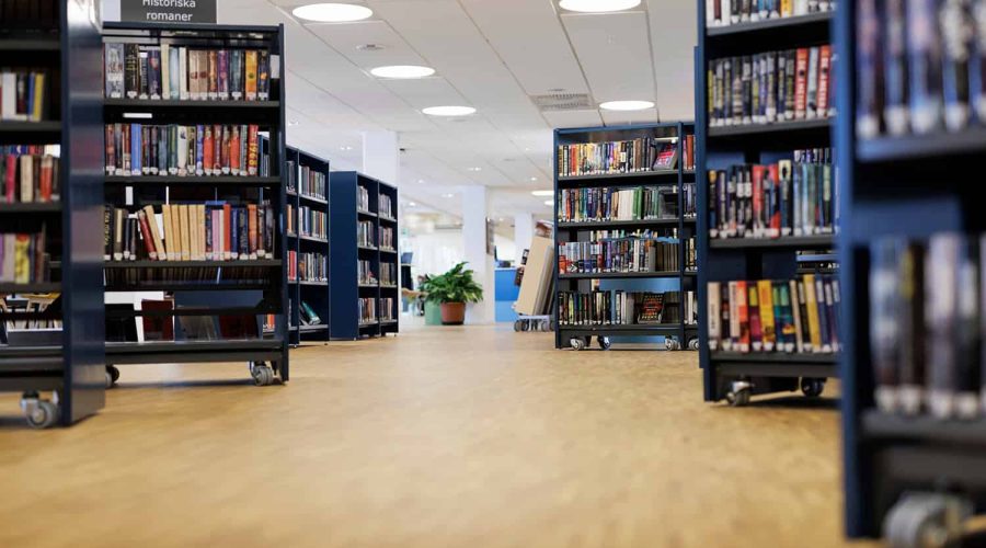 Elin Sandra Foto Jonas Eng 010_red