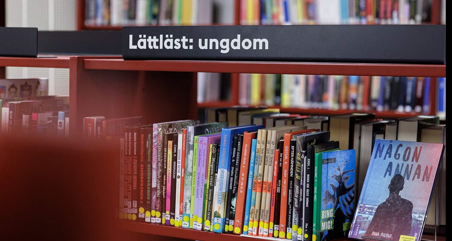 Skolbibliotek skolinspektionen