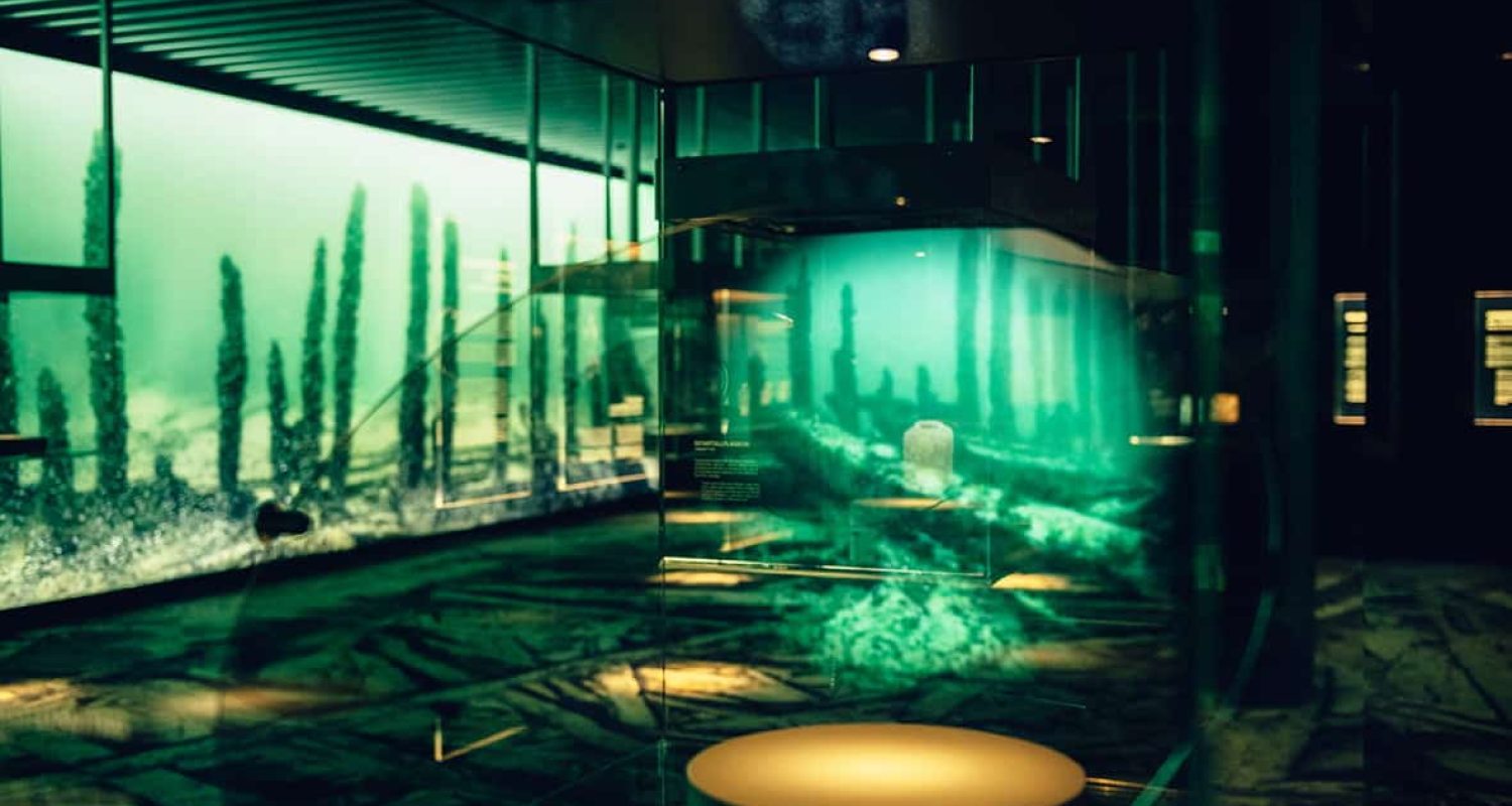 donka-DIK-vrak-003-webb_liten.jpg Sanne Kofod Olsen